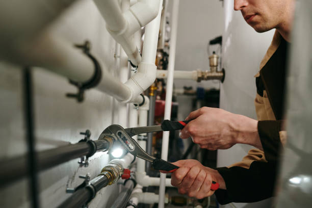 Best Clogged Drain Plumber  in Fortville, IN