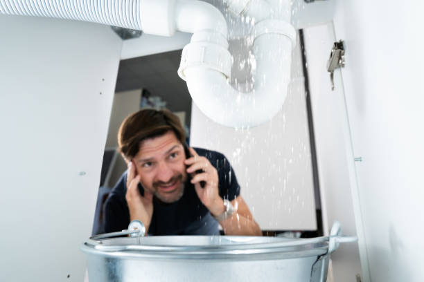 Best Plumbing Repair Near Me  in Fortville, IN