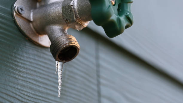 Best Shower Repair Services  in Fortville, IN